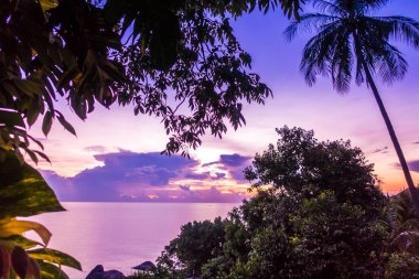 Güzel tropikal deniz okyanus cennet adayı gündoğumu zaman içinde Hindistan cevizi hurma ağacı