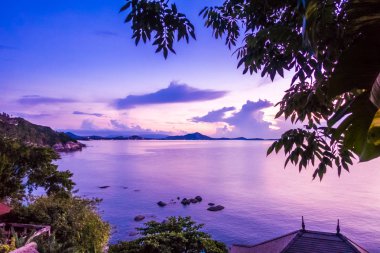 Güzel tropikal deniz okyanus cennet adayı gündoğumu zaman içinde Hindistan cevizi hurma ağacı