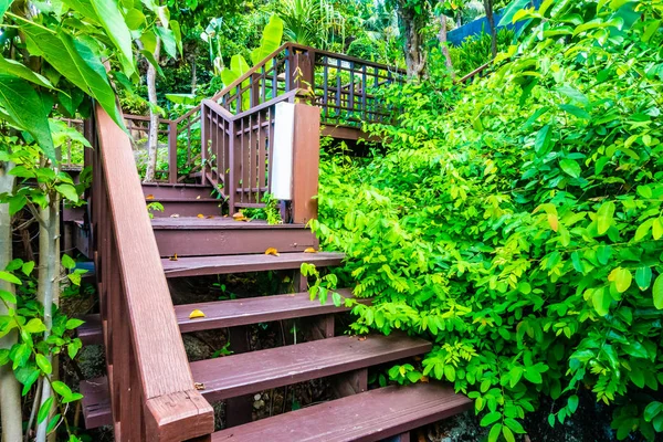 Escalier Extérieur Bois Dans Forêt Avec Arbre Pour Les Voyages — Photo