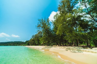 Güzel cennet tropikal plaj ve deniz - tatil tatil kavramı