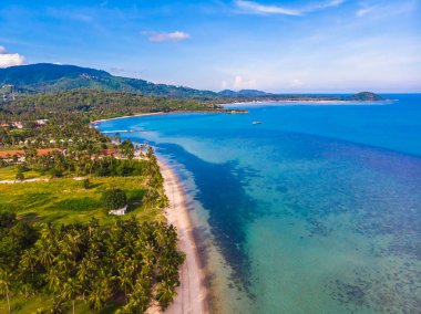 Güzel tropikal plaj ve deniz hurma ve koh samui Adası seyahat ve tatil için diğer ağacında havadan görünümü