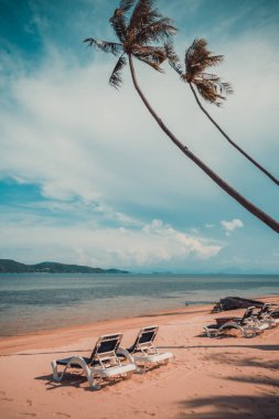 Güzel tropikal plaj ve Hindistan cevizi hurma ağacı ve Cennet Adası sandalyede denize sıfır