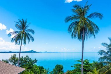 Deniz okyanus mavi gökyüzü arka plan üzerinde güzel Hindistan cevizi hurma ağacı