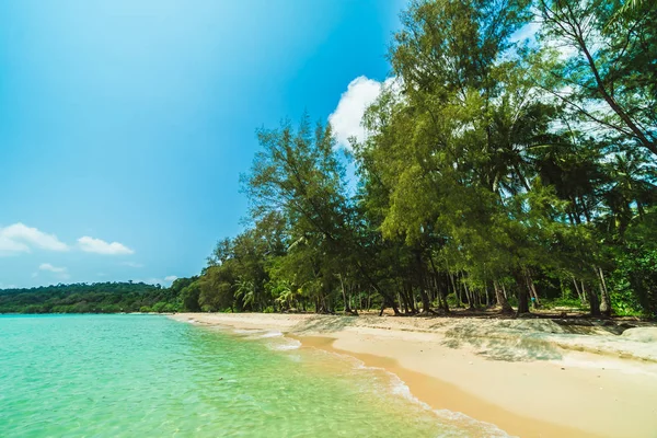Güzel cennet tropikal plaj ve deniz - tatil tatil kavramı