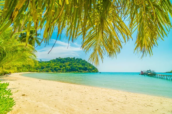 Güzel tropikal plaj ve deniz paradise Island Seyahat ve tatil için Hindistan cevizi hurma ağacı