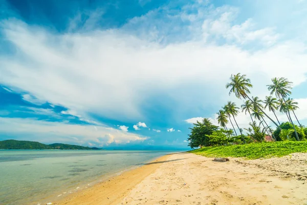 Beautiful Tropical Beach Sea Coconut Palm Tree Paradise Island — Stock Photo, Image
