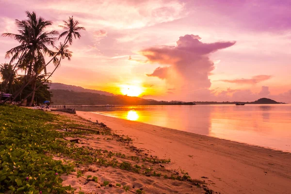Beautiful Outdoor View Ocean Beach Tropical Coconut Palm Tree Sunrise — Stock Photo, Image