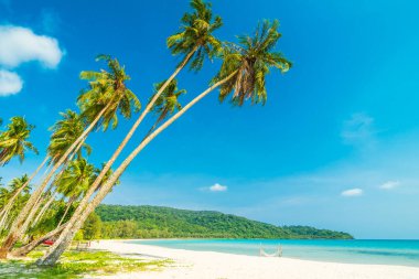 Güzel doğa tropikal plaj ve Hindistan cevizi hurma ağacı için cennet adasında tatil seyahat