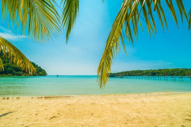 Güzel tropikal plaj ve deniz paradise Island Seyahat ve tatil için Hindistan cevizi hurma ağacı