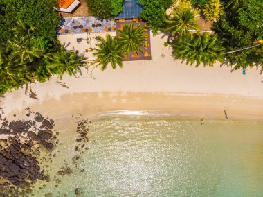 Plaj ve deniz paradise Island tatil için Hindistan cevizi hurma ağacı ile güzel havadan görünümü