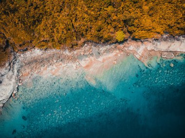 Güzel doğa tropikal plaj ve deniz kayık tekne ve Hindistan cevizi hurma ağacı Cennet Adası için seyahat etmek tatil