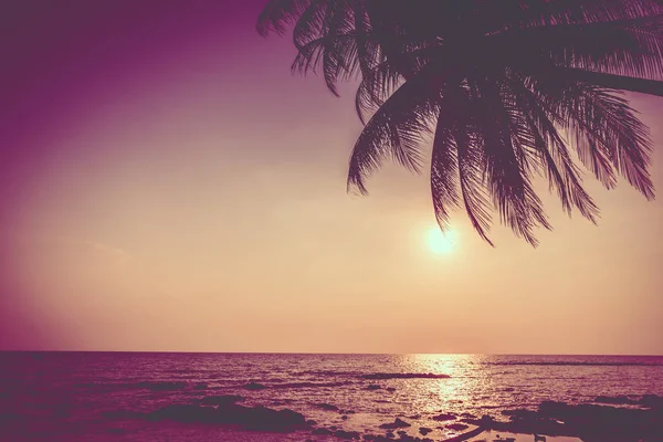 Beautiful Tropical Coconut Palm Tree Sky Sea Beach Vintage Filter — Stock Photo, Image