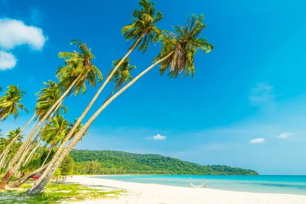 Güzel doğa tropikal plaj ve Hindistan cevizi hurma ağacı için cennet adasında tatil seyahat