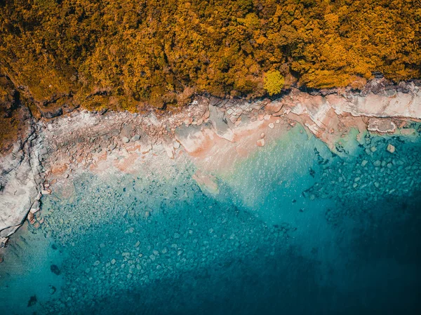 Güzel doğa tropikal plaj ve deniz kayık tekne ve Hindistan cevizi hurma ağacı Cennet Adası için seyahat etmek tatil