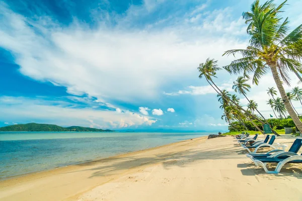 Güzel tropikal plaj ve Hindistan cevizi hurma ağacı Cennet Adası