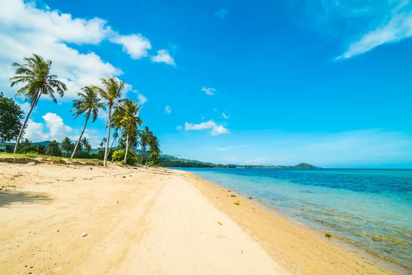 Güzel tropikal plaj ve Hindistan cevizi hurma ağacı Cennet Adası