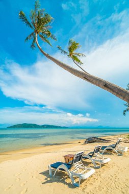 Güzel tropikal plaj ve Hindistan cevizi hurma ağacı ve Cennet Adası sandalyede denize sıfır