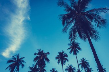 Gökyüzü günbatımı zaman - Vintage filtre tropikal doğa ve siluet Hindistan cevizi hurma ağacı ile güzel açık görünüm