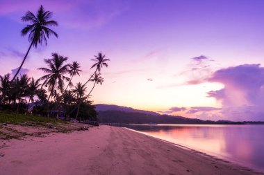Güzel açık görünüm ea okyanus ve plaj tropikal Hindistan cevizi hurma ağacı gündoğumu zaman tatil tatil ve seyahat için