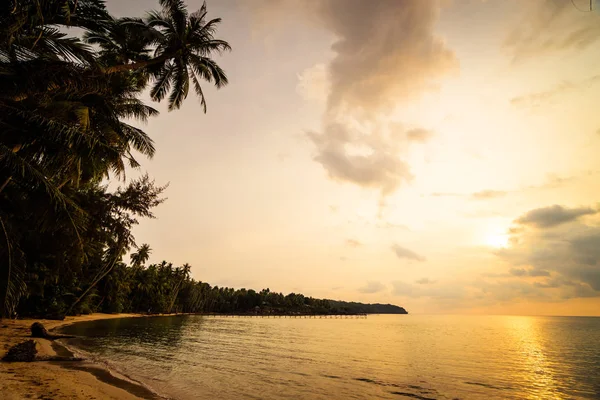 Plaj Deniz Hindistan Cevizi Hurma Ağacı Günbatımı Zaman Tatil Tatil — Stok fotoğraf