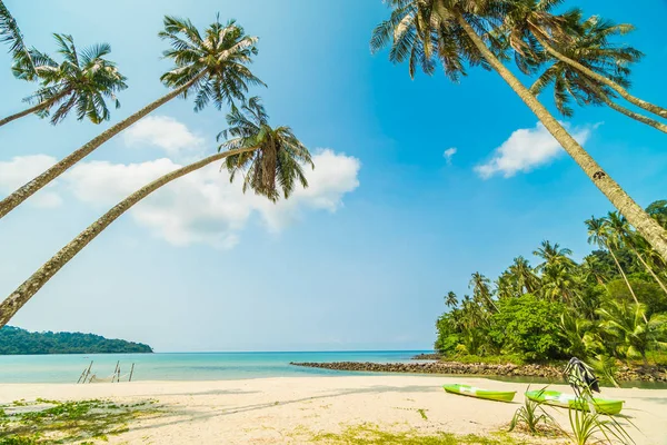 Güzel tropikal plaj ve deniz paradise Island Seyahat ve tatil için Hindistan cevizi hurma ağacı