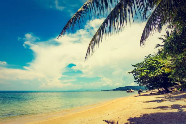 美しい屋外トロピカル ビーチと休日の旅行や休暇をココナッツ椰子の木の楽園の島の海 — ストック写真