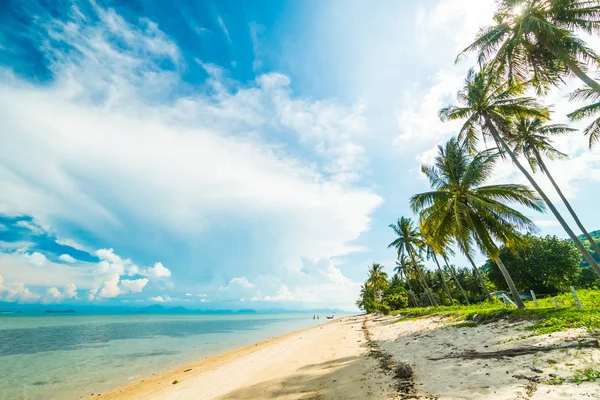 Güzel tropikal plaj ve Hindistan cevizi hurma ağacı Cennet Adası