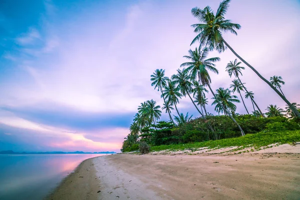 Pięknej Tropikalnej Plaży Morza Palmy Kokosowe Drzewo Czasie Wschodu Długi — Zdjęcie stockowe