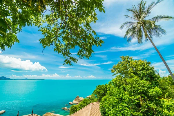 Plaj Deniz Ile Hindistan Cevizi Hurma Ağacı Koh Samui Adası — Stok fotoğraf