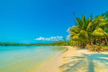 Güzel tropikal plaj ve deniz paradise Island Seyahat ve tatil için Hindistan cevizi hurma ağacı