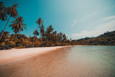 Güzel tropikal plaj ve deniz paradise Island Seyahat ve tatil için Hindistan cevizi hurma ağacı