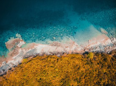 Güzel doğa tropikal plaj ve deniz kayık tekne ve Hindistan cevizi hurma ağacı Cennet Adası için seyahat etmek tatil