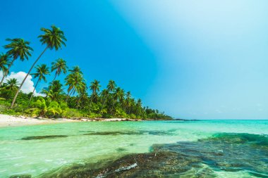 Güzel Cennet Adası ile Hindistan cevizi hurma ağacı - tatil tatil kavramı etrafında deniz ve plaj peyzaj