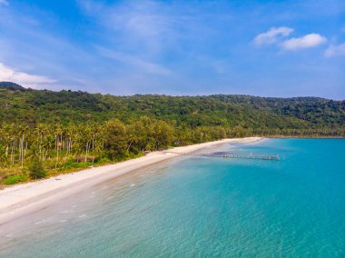 Plaj ve deniz paradise Island tatil için Hindistan cevizi hurma ağacı ile güzel havadan görünümü