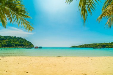 Güzel tropikal plaj ve deniz paradise Island Seyahat ve tatil için Hindistan cevizi hurma ağacı