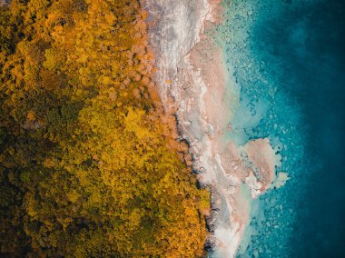 Güzel doğa tropikal plaj ve deniz kayık tekne ve Hindistan cevizi hurma ağacı Cennet Adası için seyahat etmek tatil