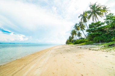 Güzel tropikal plaj ve Hindistan cevizi hurma ağacı Cennet Adası