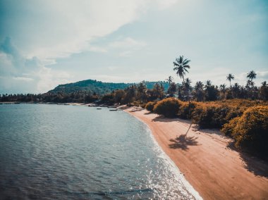 Güzel tropikal plaj ve deniz hurma ve koh samui Adası seyahat ve tatil için diğer ağacında havadan görünümü