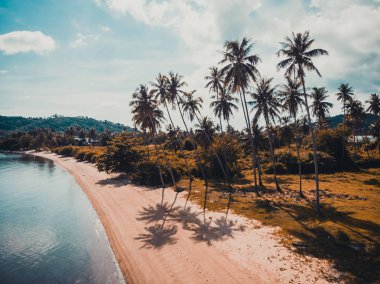 Güzel tropikal plaj ve deniz hurma ve koh samui Adası seyahat ve tatil için diğer ağacında havadan görünümü