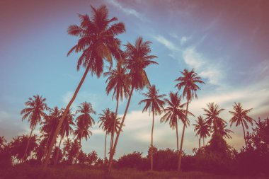 Gökyüzü günbatımı zaman - Vintage filtre tropikal doğa ve siluet Hindistan cevizi hurma ağacı ile güzel açık görünüm