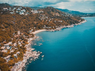 Güzel tropikal plaj ve deniz hurma ve koh samui Adası seyahat ve tatil için diğer ağacında havadan görünümü