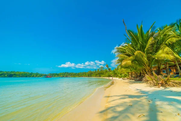 Güzel tropikal plaj ve deniz paradise Island Seyahat ve tatil için Hindistan cevizi hurma ağacı