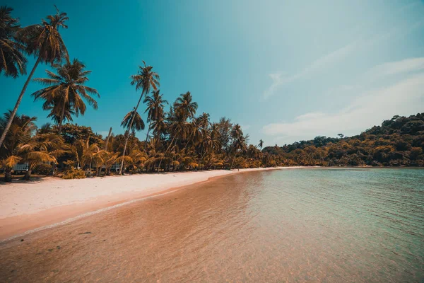 Güzel tropikal plaj ve deniz paradise Island Seyahat ve tatil için Hindistan cevizi hurma ağacı
