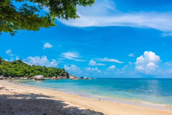 Güzel açık tropikal plaj ve deniz paradise Island tatil seyahat ve tatil için Hindistan cevizi hurma ağacı ile