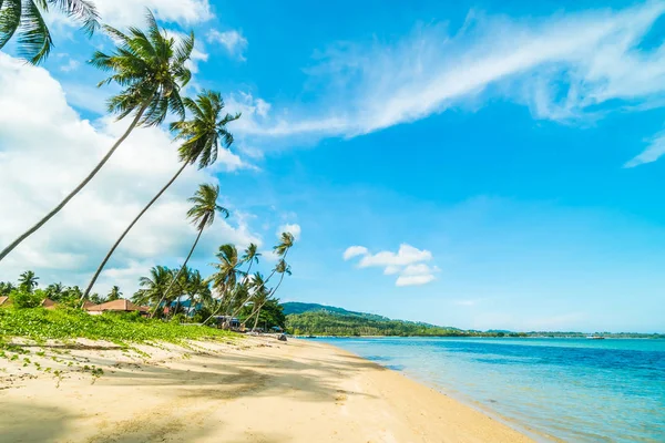 Güzel tropikal plaj ve Hindistan cevizi hurma ağacı Cennet Adası