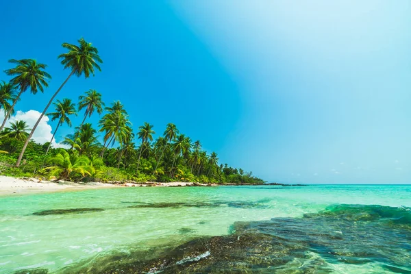 Güzel Cennet Adası ile Hindistan cevizi hurma ağacı - tatil tatil kavramı etrafında deniz ve plaj peyzaj
