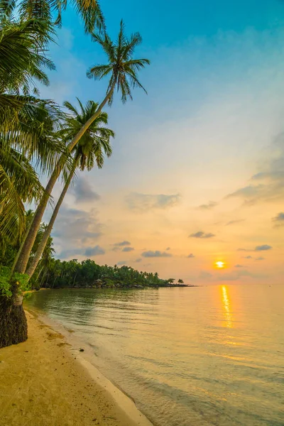 Plaj ve deniz Hindistan cevizi hurma ağacı günbatımı zaman - tatil tatil ve seyahat kavramı etrafında güzel Cennet Adası