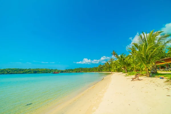 Güzel tropikal plaj ve deniz paradise Island Seyahat ve tatil için Hindistan cevizi hurma ağacı