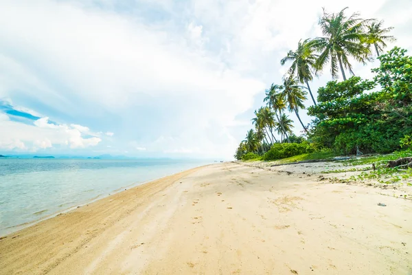 Güzel tropikal plaj ve Hindistan cevizi hurma ağacı Cennet Adası