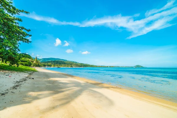 Beautiful Tropical Beach Sea Coconut Palm Tree Paradise Island — Stock Photo, Image